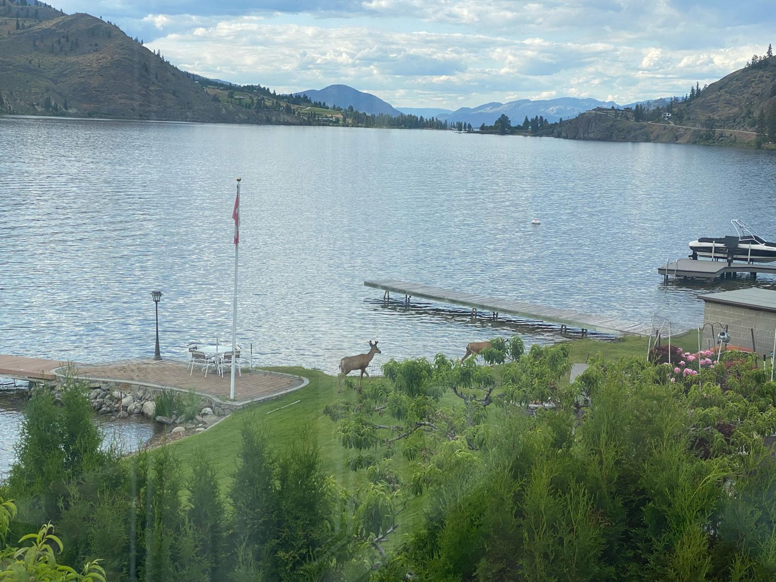 Curated Lakefront Getaways Now Available: 3-Night & 5-Night Packages